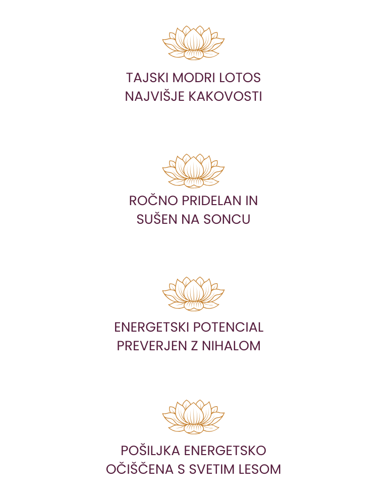 Modri lotos